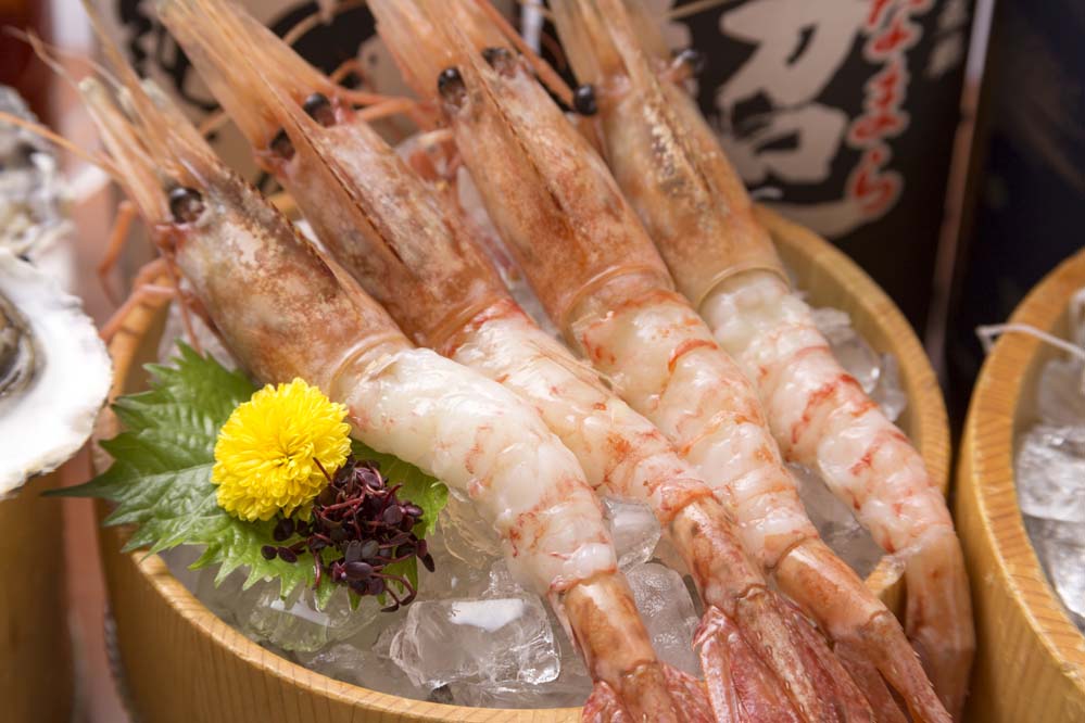 水槽より縞海老おどり喰い 1尾 390円(春・秋のみ)
